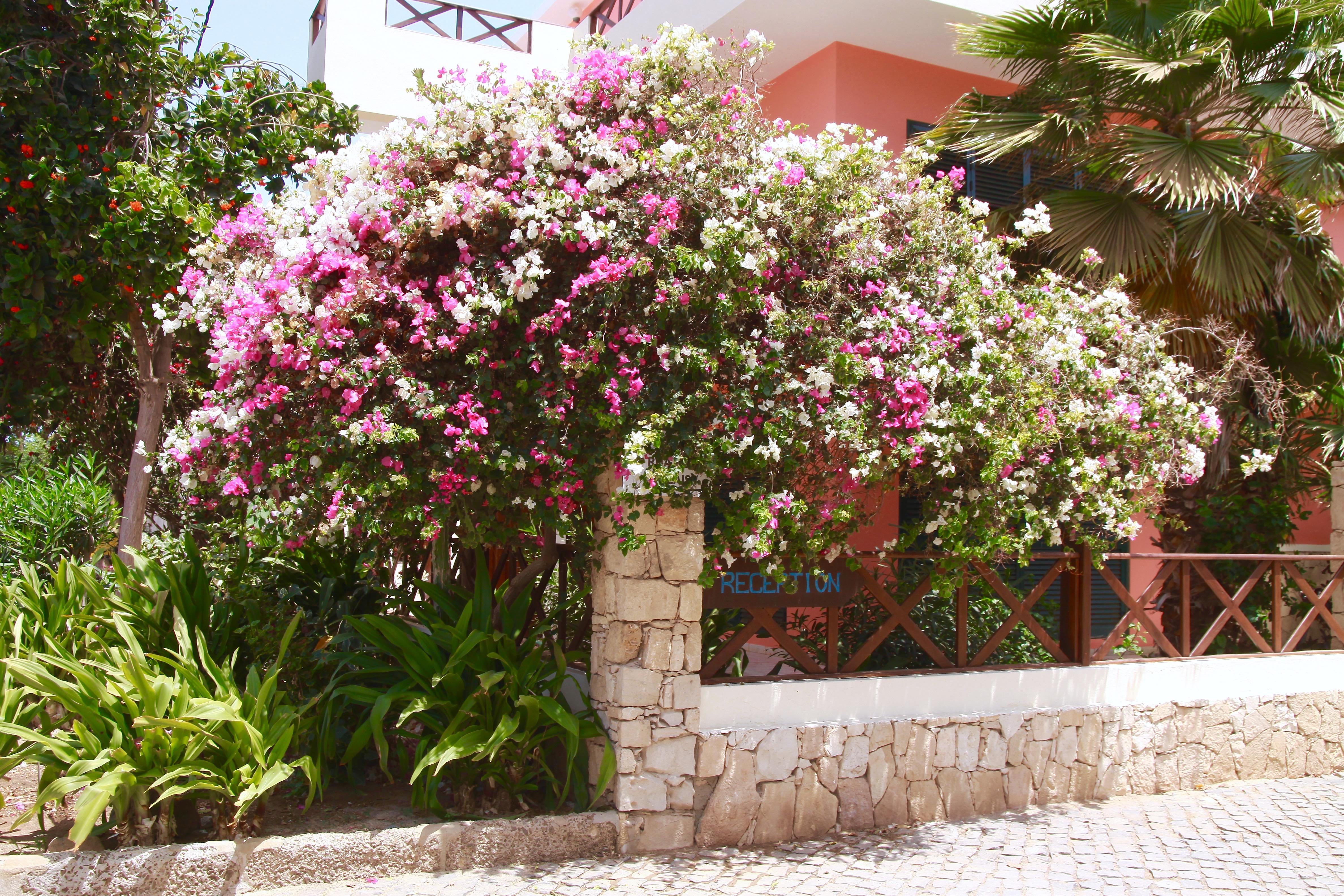 Aparthotel Ponta Preta ซังตามาเรีย ภายนอก รูปภาพ